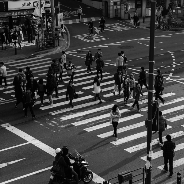 wallpaper